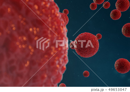 3D illustration egg cells embryo. Embryo cells with red nucleus in center. Human or animal egg cells 3D illustration egg cells embryo. Embryo cells with red nucleus in center. Human or animal egg cells 49653047