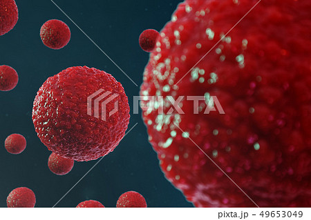 3D illustration egg cells embryo. Embryo cells with red nucleus in center. Human or animal egg cells 3D illustration egg cells embryo. Embryo cells with red nucleus in center. Human or animal egg cells 49653049