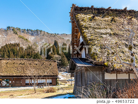苔生した茅葺屋根 白川郷  49653722
