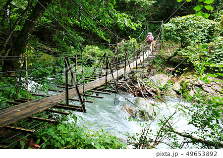 南アルプス光岳への道　ウソッコ沢の吊り橋 49653892