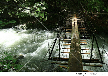 南アルプス光岳への道　ウソッコ沢の吊り橋 49653896