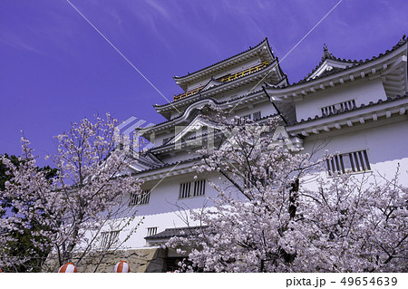 広島県福山市 福山城 天守閣 福山城博物館 広島県福山市 福山城 天守閣 福山城博物館 49654639