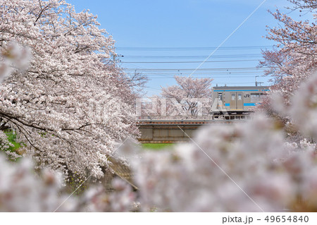 桜と205系 49654840