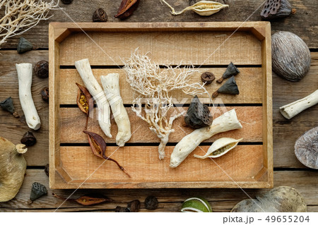 Wooden box, dry roots, nut shell, coconuts, plants 49655204