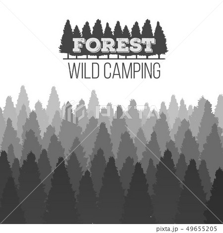 Creative illustration of wild coniferous pine tree forest background. Art design landscape nature 49655205