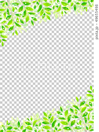 背景材料_木葉若葉青葉鮮綠 49655498