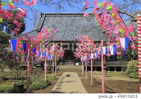 金乗院寺（こんじょういん）　本堂　千葉県野田市　 49655853