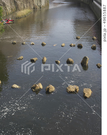 目黒川 船入場橋から望む桜 目黒川 船入場橋から望む桜 49655887