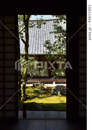 醍醐寺　桜 49655901