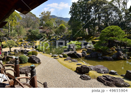 醍醐寺 桜 醍醐寺 桜 49655904