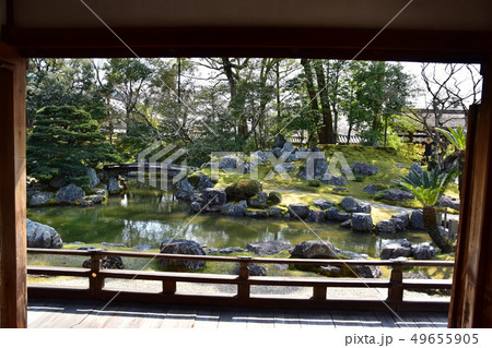 醍醐寺　桜 49655905