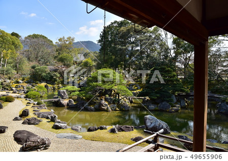 醍醐寺　桜 49655906