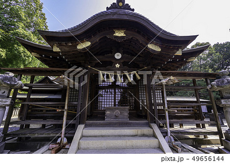 広島県福山市 福山城公園 備後護国神社 拝殿 広島県福山市 福山城公園 備後護国神社 拝殿 49656144