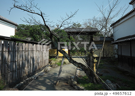 渉成園の入園口 渉成園の入園口 49657612