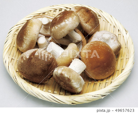 シイタケ01_切抜パス付 49657623