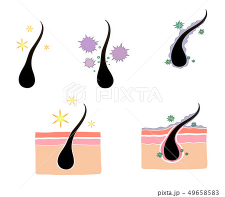 スカルプ 頭皮 清める 49658583