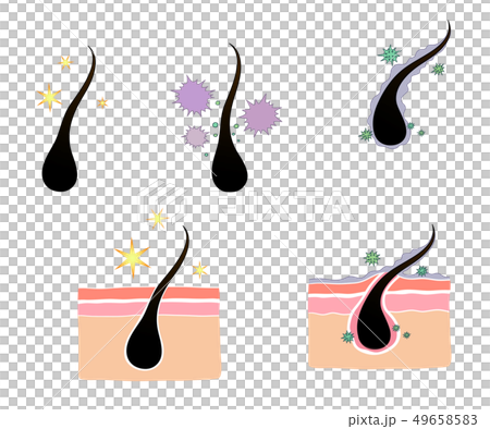 スカルプ 頭皮 清める 49658583