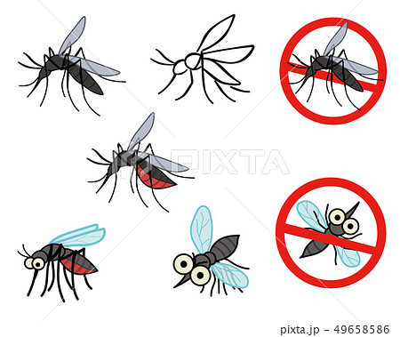 蚊 カ 昆虫のイラスト素材