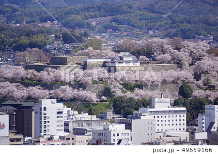 岡山県津山市にあるさくら名所100選のひとつ「鶴山公園（津山城趾）」：全景 49659166