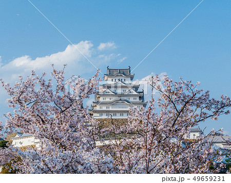 桜が満開の姫路城 桜が満開の姫路城 49659231