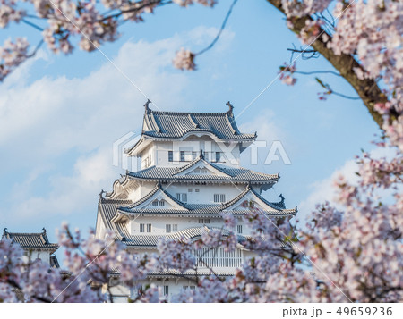 桜が満開の姫路城 桜が満開の姫路城 49659236