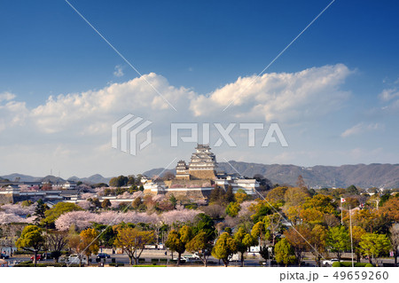 桜が満開の姫路城 桜が満開の姫路城 49659260