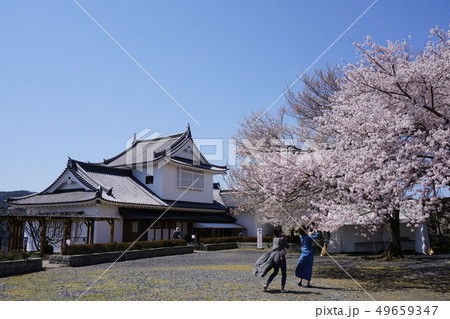 岡山県津山市にあるさくら名所100選のひとつ「鶴山公園（津山城趾）」：ソメイヨシノ満開の本丸 49659347
