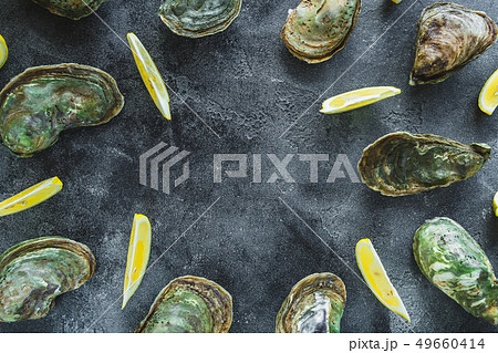 Oysters with limes on dark background Oysters with limes on dark background 49660414