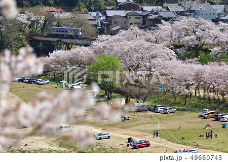 桜とキハ120 49660743