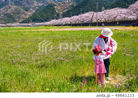 (静岡県)松崎町・田んぼをつかった花畑 イクメンパパ 案山子 (静岡県)松崎町・田んぼをつかった花畑 イクメンパパ 案山子 49661215
