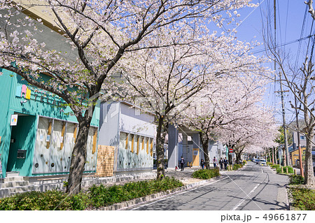 名古屋市北区 名鉄瀬戸線 尼ヶ坂駅~清水駅間 SAKUMACHI商店街と桜並木 名古屋市北区 名鉄瀬戸線 尼ヶ坂駅~清水駅間 SAKUMACHI商店街と桜並木 49661877