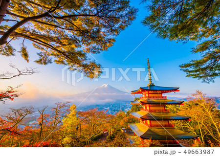 Beautiful landscape of mountain fuji with chureito pagoda around maple leaf tree in autumn season 49663987