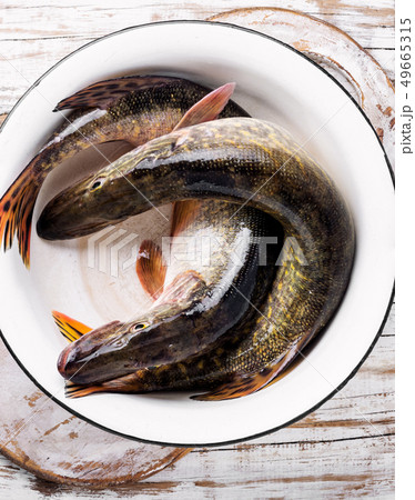 Raw whole fish Raw whole fish 49665315