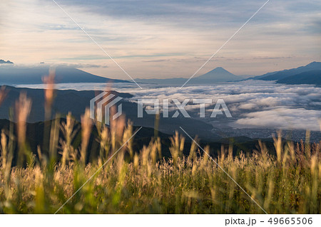 《長野県》高ボッチ山・富士山と雲海 《長野県》高ボッチ山・富士山と雲海 49665506