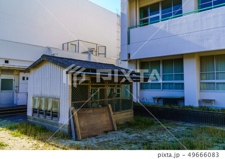 雲仙市立木指小学校 歴史的記録 【長崎県雲仙市】 雲仙市立木指小学校 歴史的記録 【長崎県雲仙市】 49666083