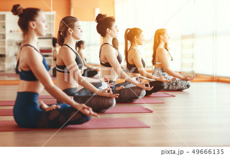 group of people engaged in yoga class meditate in 49666135
