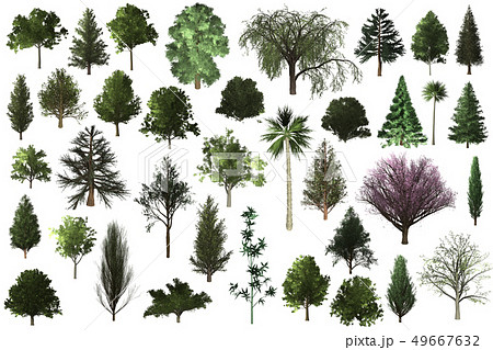 Tree Set 3d Illustration On White Backgroundのイラスト素材