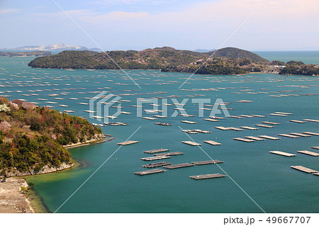 虫明の牡蠣筏 ・ 春　 【岡山県瀬戸内市】 49667707