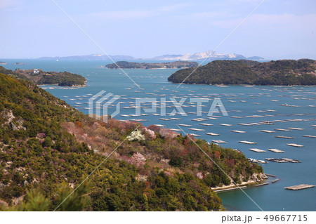 虫明の牡蠣筏 ・ 春 【岡山県瀬戸内市】 虫明の牡蠣筏 ・ 春 【岡山県瀬戸内市】 49667715