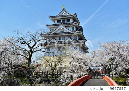 墨俣一夜城と桜 墨俣一夜城と桜 49667857