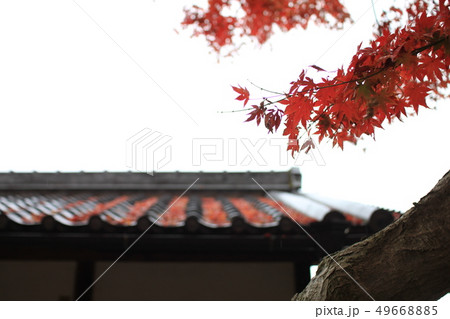 紅葉と瓦屋根 49668885