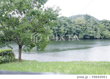 長浜公園 49669061