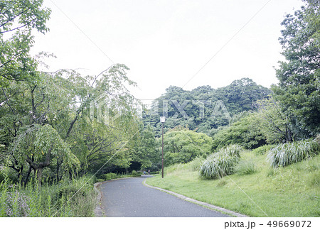 長浜公園 49669072