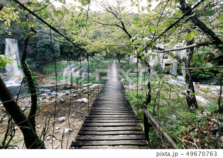 Suspension wooden bridge in the forest Suspension wooden bridge in the forest 49670763