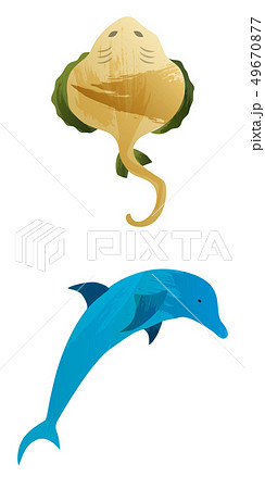 Marine set of Watercolor Vector Tropical Fish, Seaweed Coral Algae and Jellyfish Underwater Marine set of Watercolor Vector Tropical Fish, Seaweed Coral Algae and Jellyfish Underwater 49670877