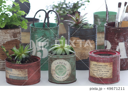 白いカーテン越しに飾ってるリメイク缶に入れた観葉植物 白いカーテン越しに飾ってるリメイク缶に入れた観葉植物 49671211