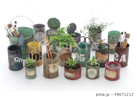 白いカーテン越しに飾ってるリメイク缶に入れた観葉植物 49671212