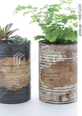 白いカーテン越しに飾ってるリメイク缶に入れた観葉植物 白いカーテン越しに飾ってるリメイク缶に入れた観葉植物 49671234