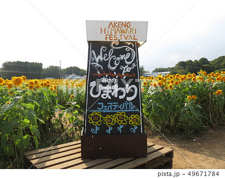 あけのひまわりフェスティバルの会場にある看板 あけのひまわりフェスティバルの会場にある看板 49671784