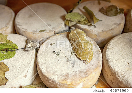 Traditional cheese Traditional cheese 49671969